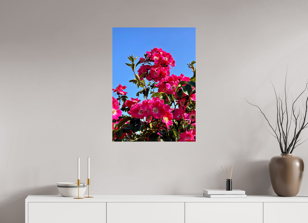 60 x 82.4 cm, Photo Print On Fuji Crystal DP II - Glossy Madeira Roses