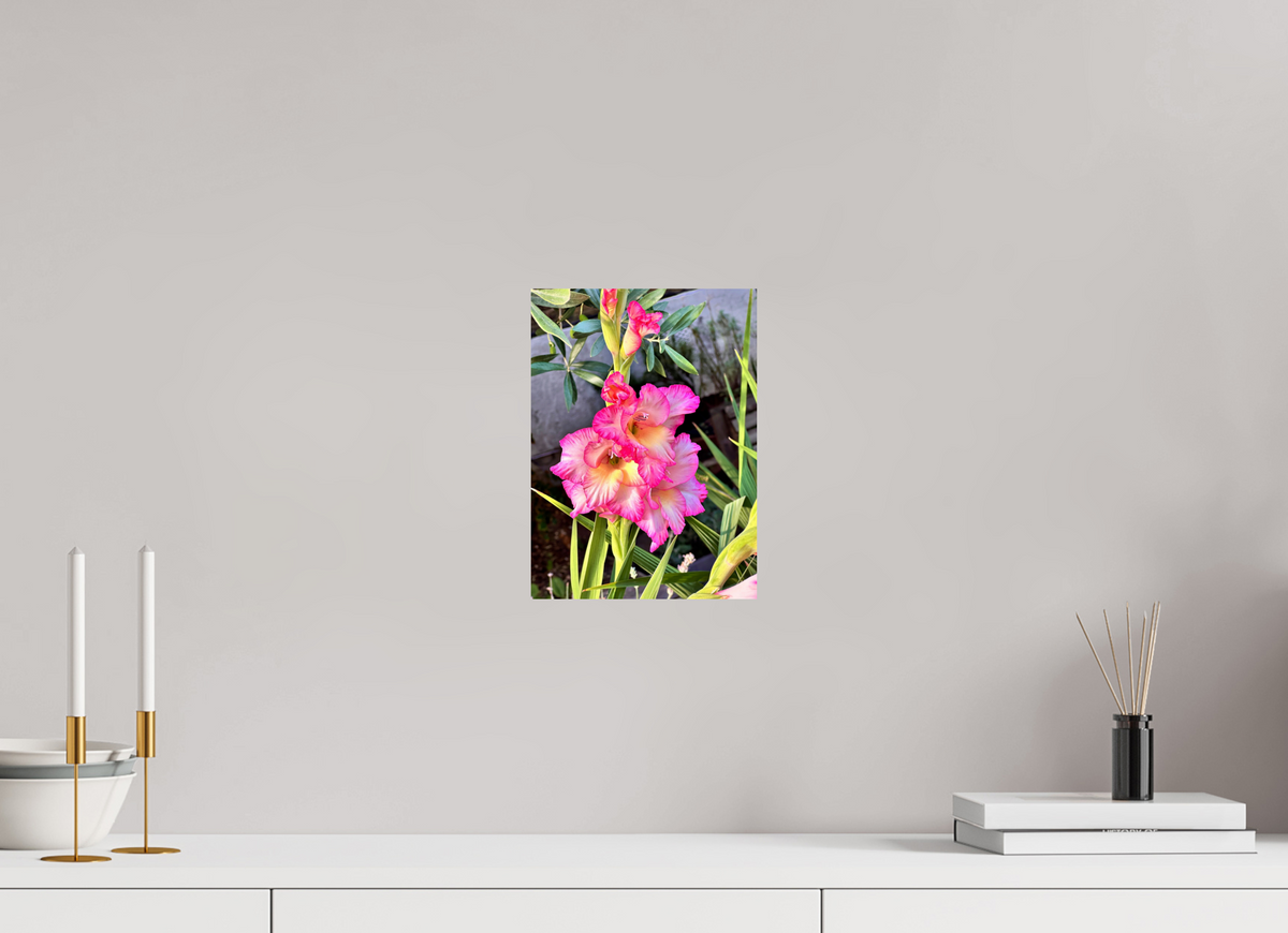 20 x 27.5 cm, Photo Print On Fujiflex High Gloss Gladiolus Flowers