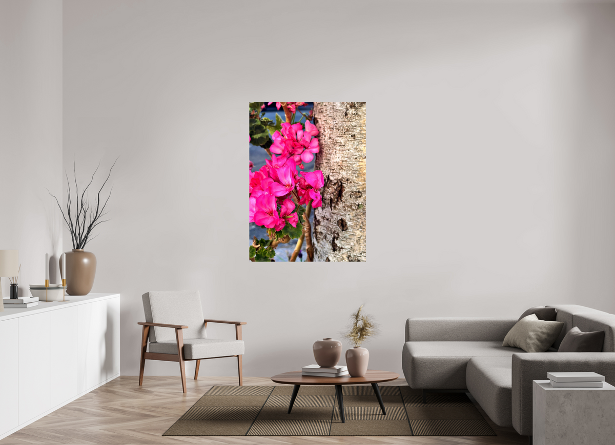 100 x 137.3 cm, Photo Print On Fuji Crystal DP II - Glossy Sweet Geraniums