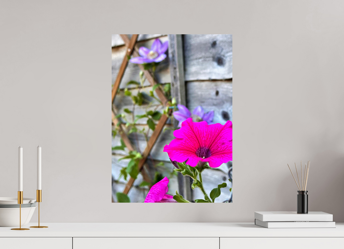 40 x 55.9 cm, Photo Print On Fuji Crystal DP II - Glossy Clematis & Pansies