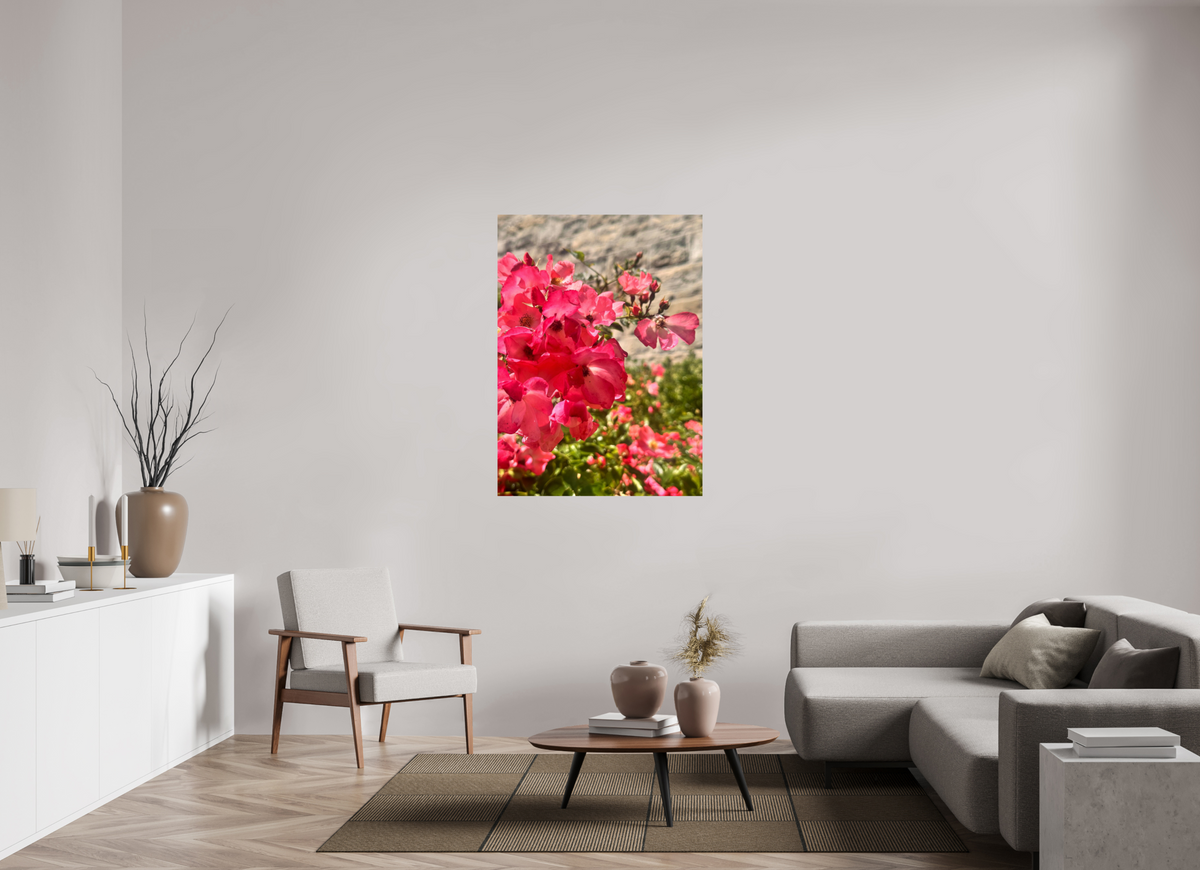 90 x 123.6 cm, Photo Print On Fuji Crystal DP II - Glossy Lady Elsie May Roses