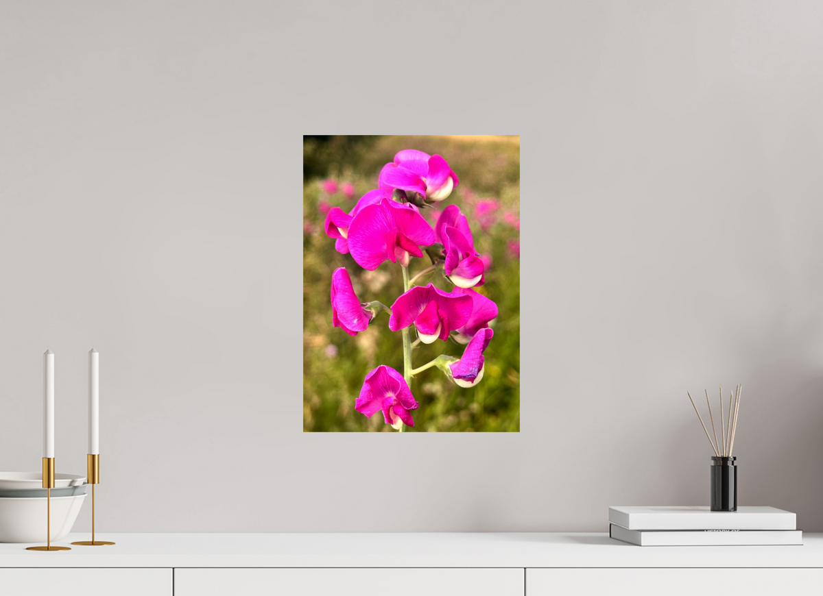 30 x 41.2 cm, Photo Print On Fujiflex High Gloss Wild Orchid