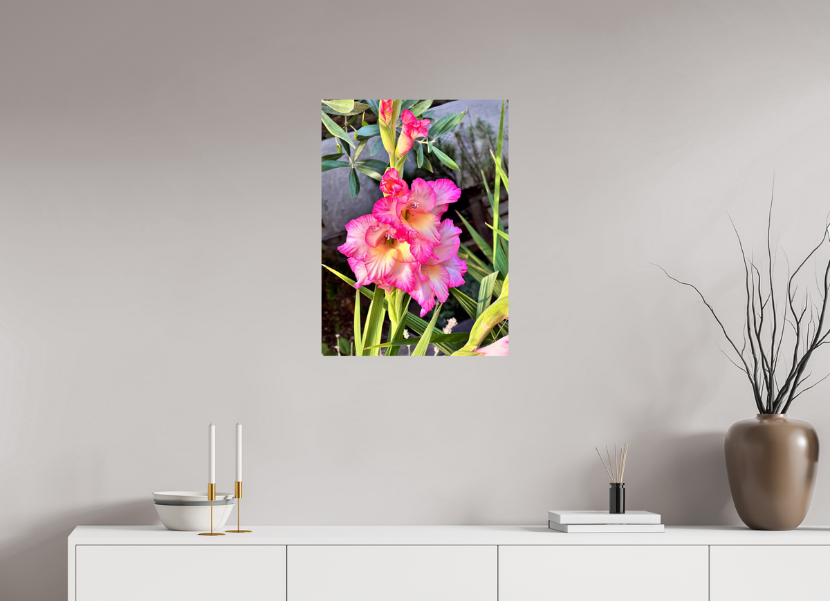 50 x 68.6 cm, Photo Print On Fuji Crystal DP II - Glossy Gladiolus Flowers