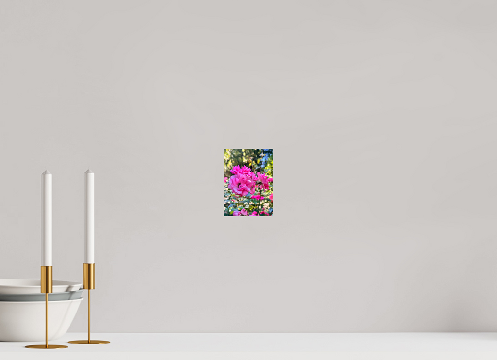10 x 13.7 cm, Photo Print On Fuji Crystal DP II - Glossy Garden of Roses