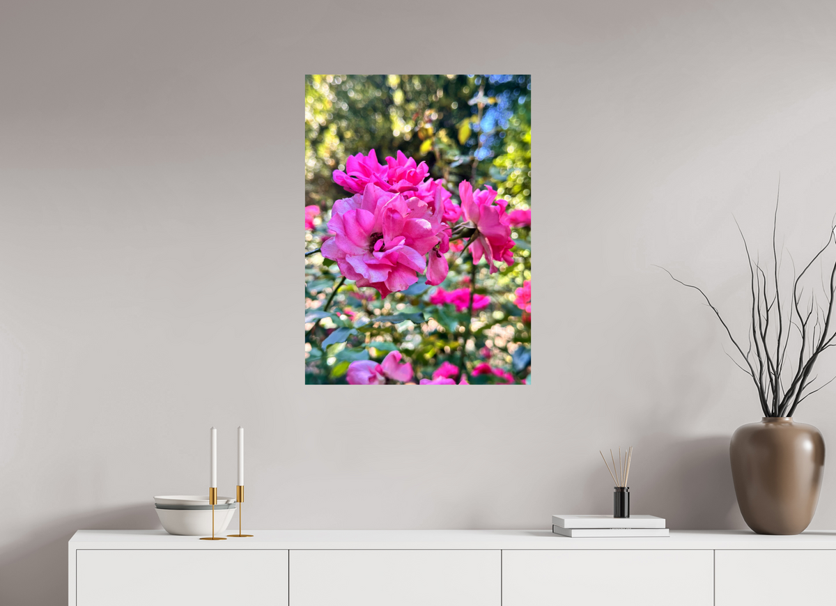 60 x 82.4 cm, Photo Print On Fujiflex High Gloss Garden of Roses