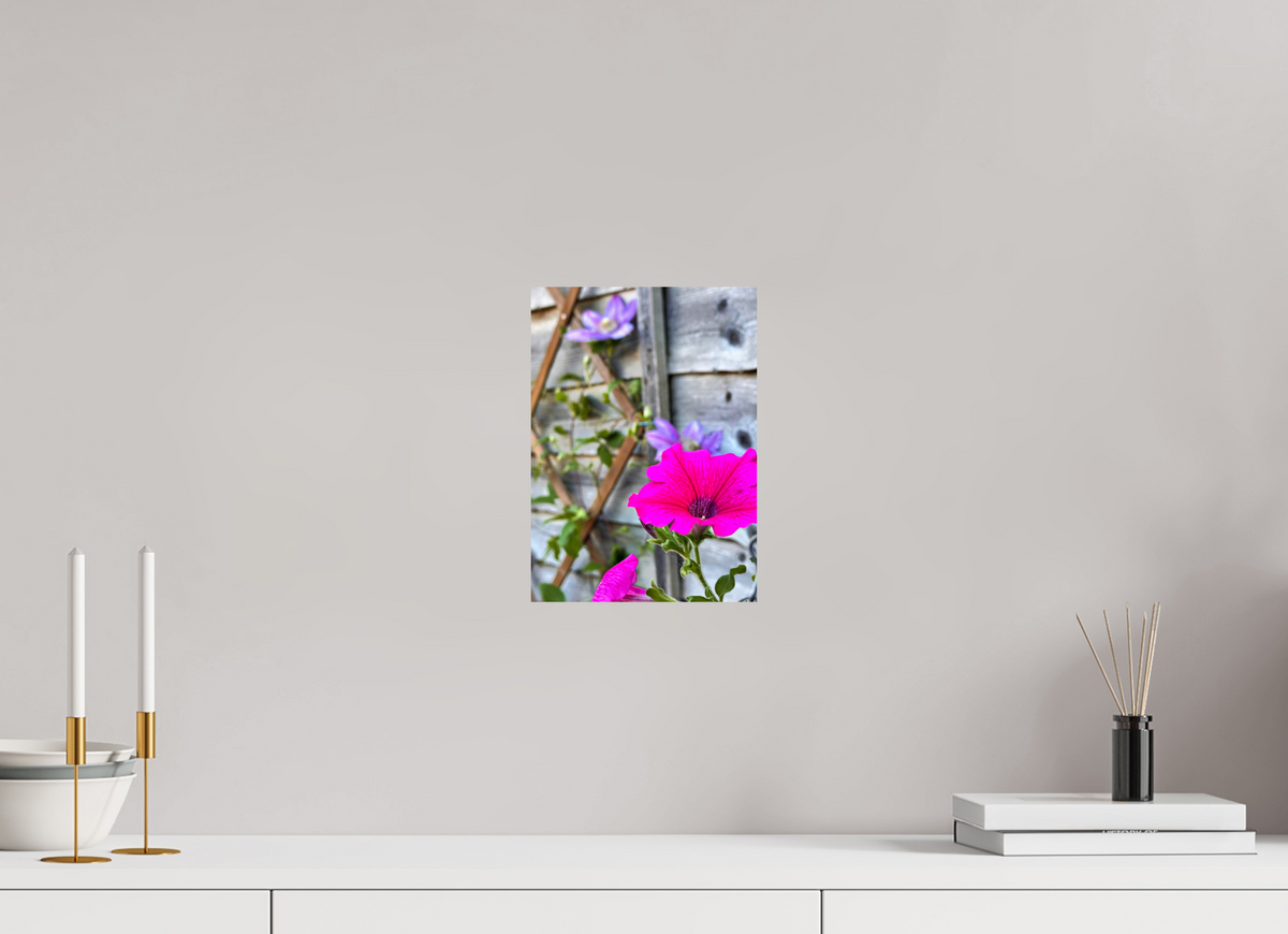 20 x 27.9 cm, Photo Print On Fujiflex High Gloss Clematis & Pansies