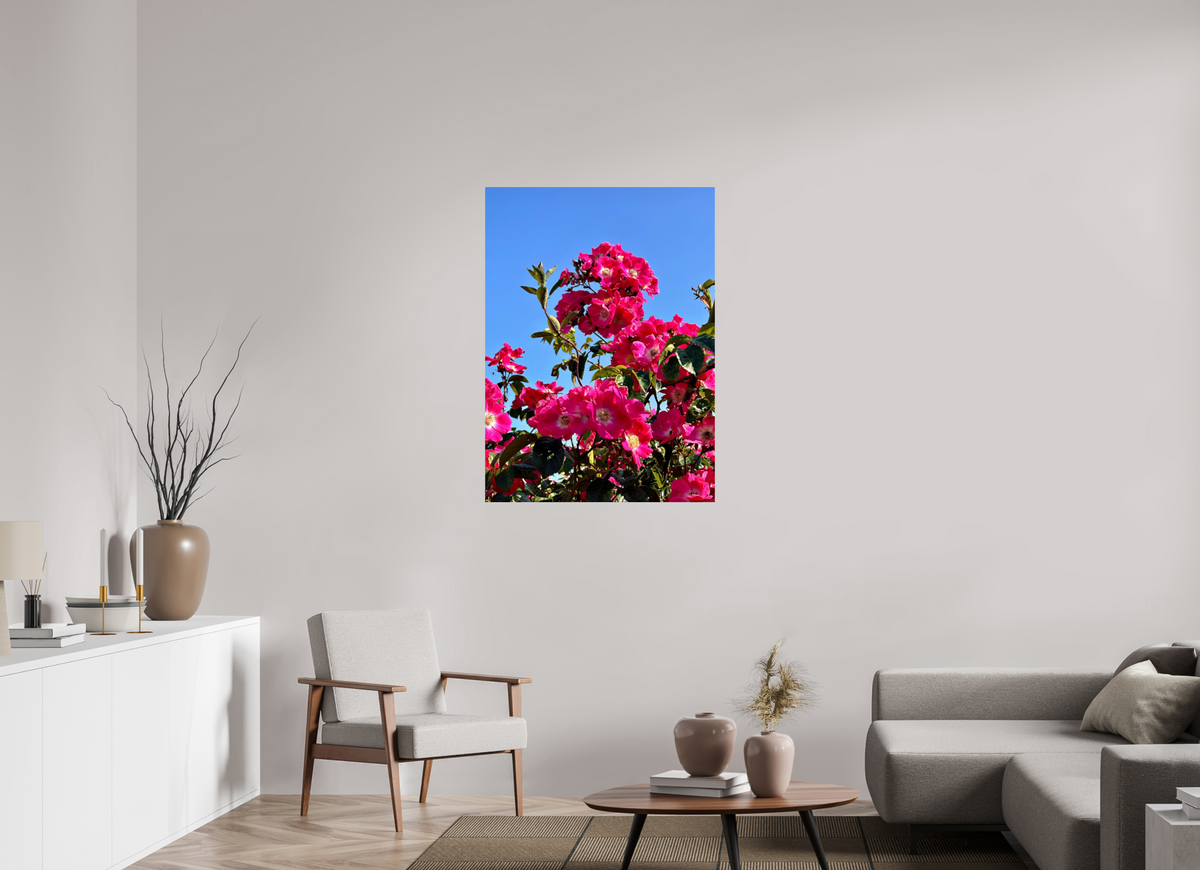 80 x 109.8 cm, Photo Print On Fuji Crystal DP II - Glossy Madeira Roses