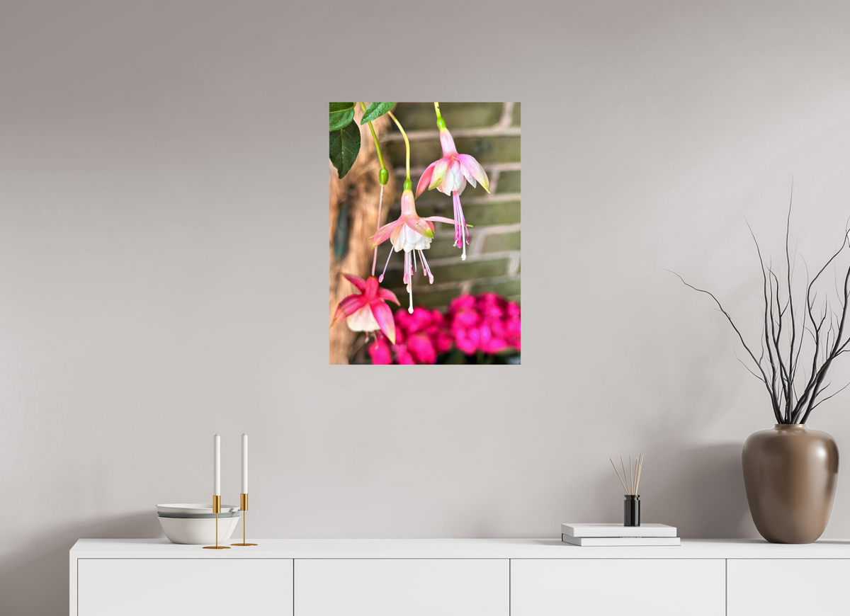 50 x 68.6 cm, Photo Print On Fuji Crystal DP II - Glossy Dancing Fairies