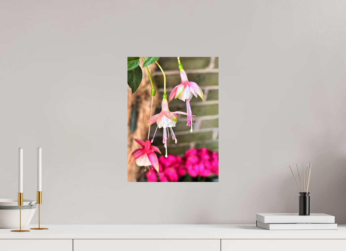 30 x 41.2 cm, Photo Print On Fujiflex High Gloss Dancing Fairies
