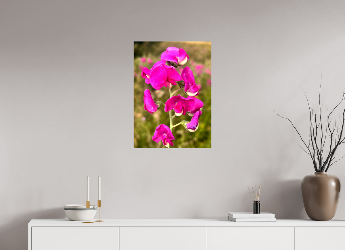 50 x 68.6 cm, Photo Print On Fuji Crystal DP II - Glossy Wild Orchid