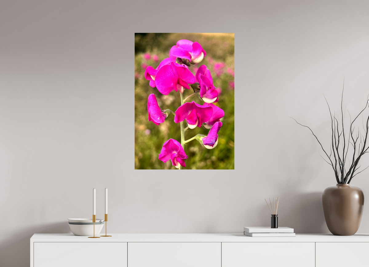 60 x 82.4 cm, Photo Print On Fuji Crystal DP II - Glossy Wild Orchid