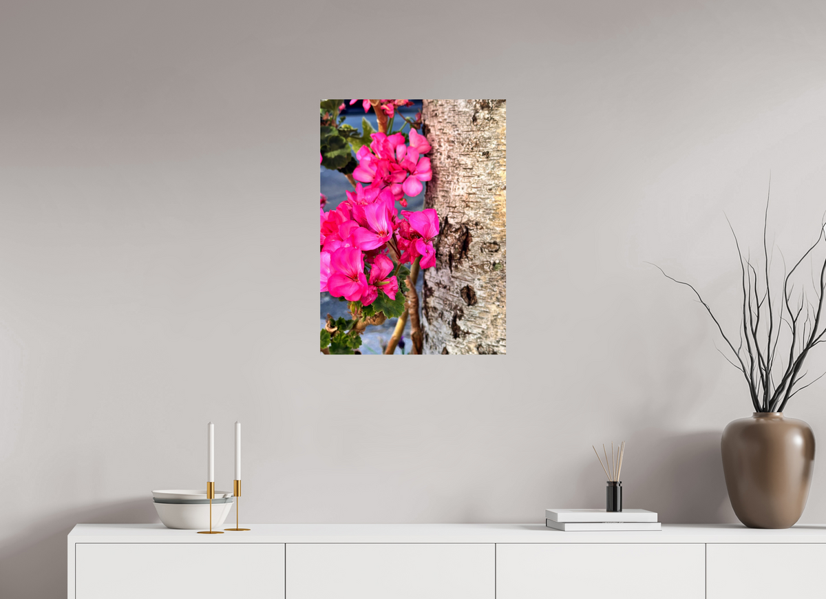 50 x 68.6 cm, Photo Print On Fuji Crystal DP II - Glossy Sweet Geraniums