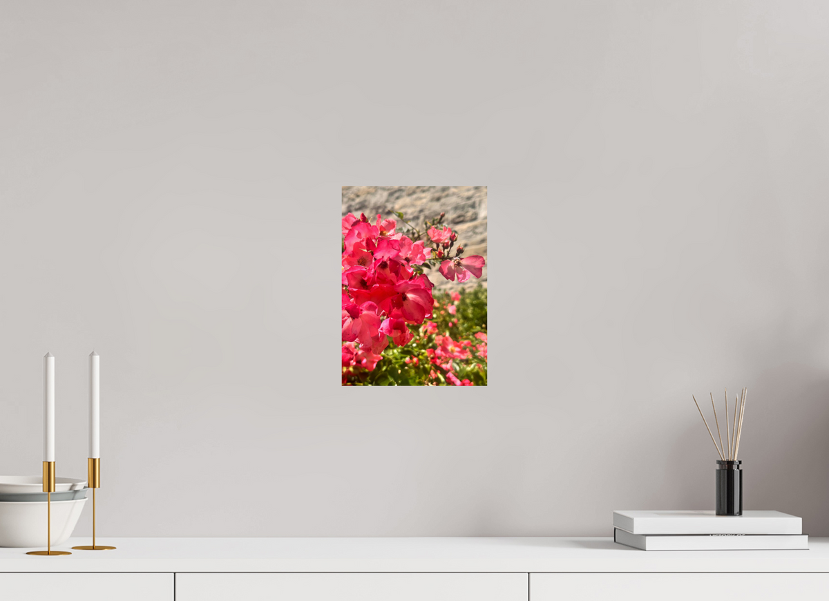 20 x 27.5 cm, Photo Print On Fujiflex High Gloss Lady Elsie May Roses