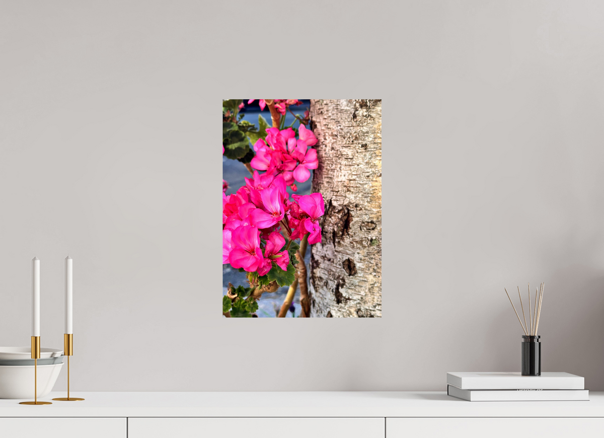 30 x 41.2 cm, Photo Print On Fuji Crystal DP II - Glossy Sweet Geraniums