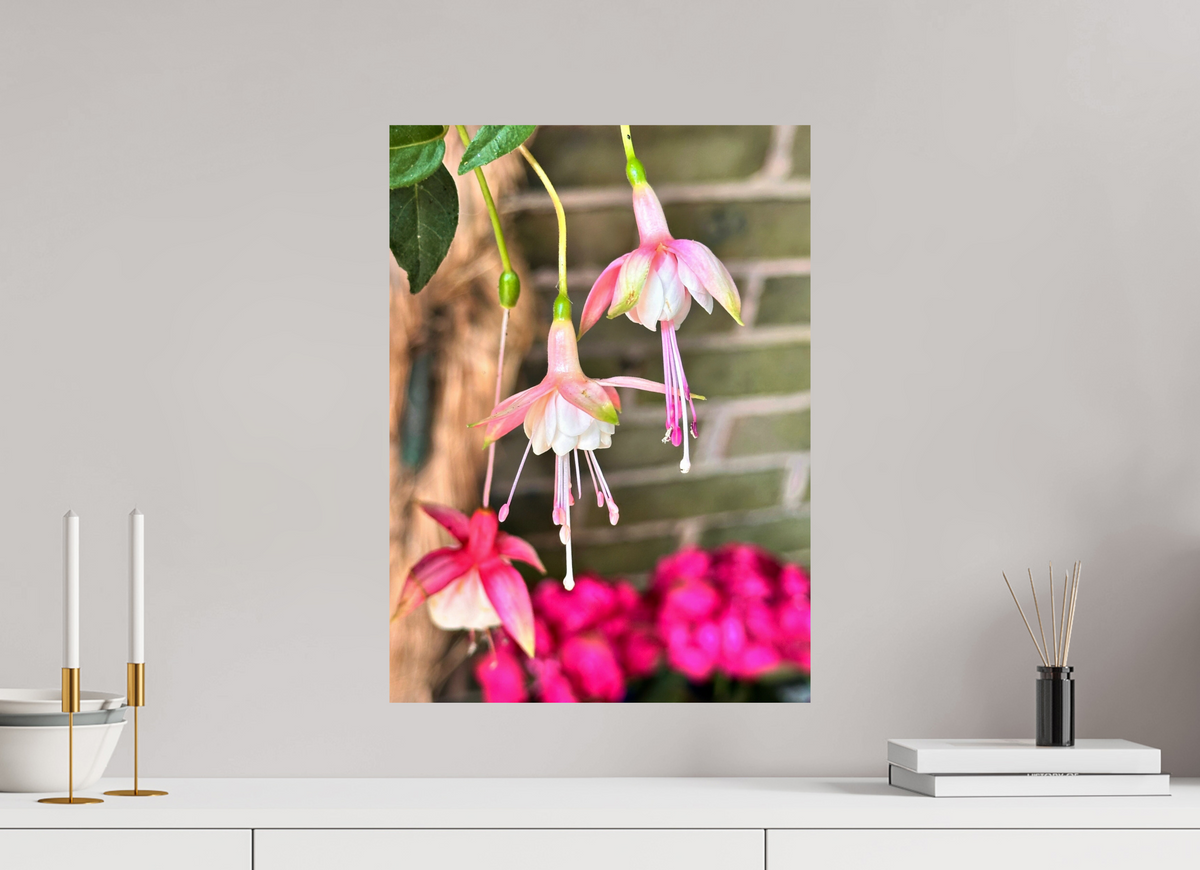 40 x 54.9 cm, Photo Print On Fujiflex High Gloss Dancing Fairies
