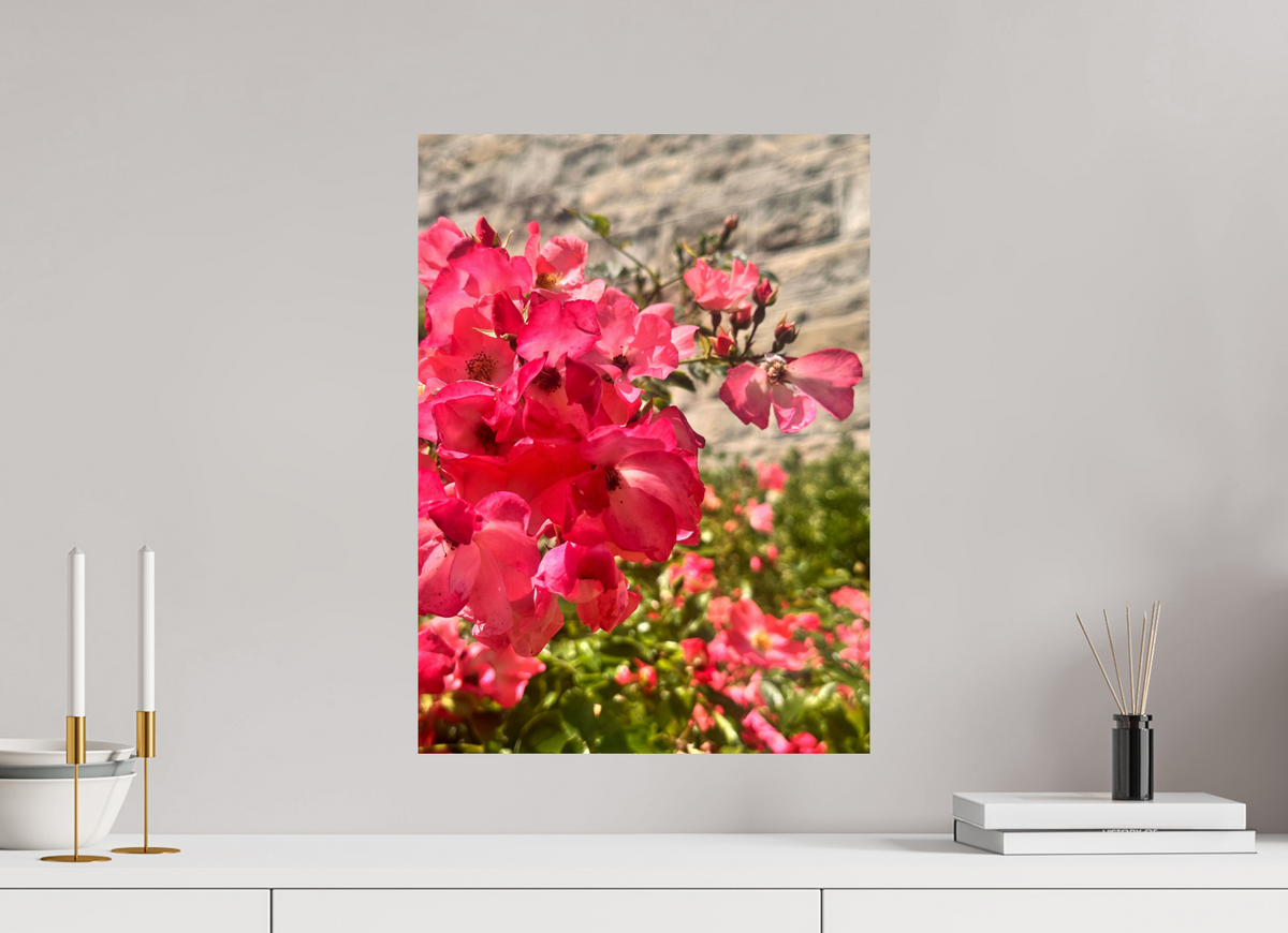 40 x 54.9 cm, Photo Print On Fujiflex High Gloss Lady Elsie May Roses