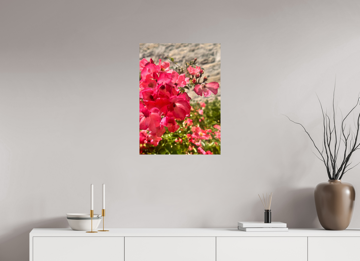 50 x 68.6 cm, Photo Print On Fujiflex High Gloss Lady Elsie May Roses