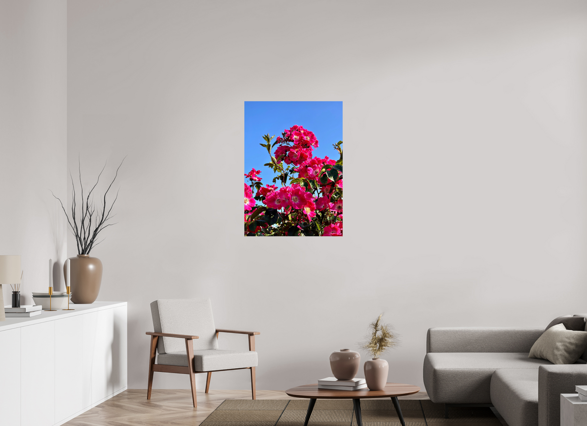 70 x 96.1 cm, Photo Print On Fujiflex High Gloss Madeira Roses