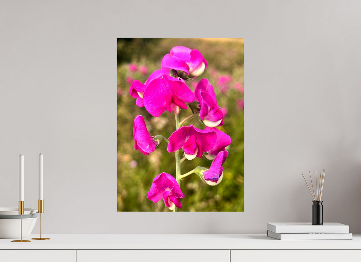 40 x 54.9 cm, Photo Print On Fuji Crystal DP II - Glossy Wild Orchid
