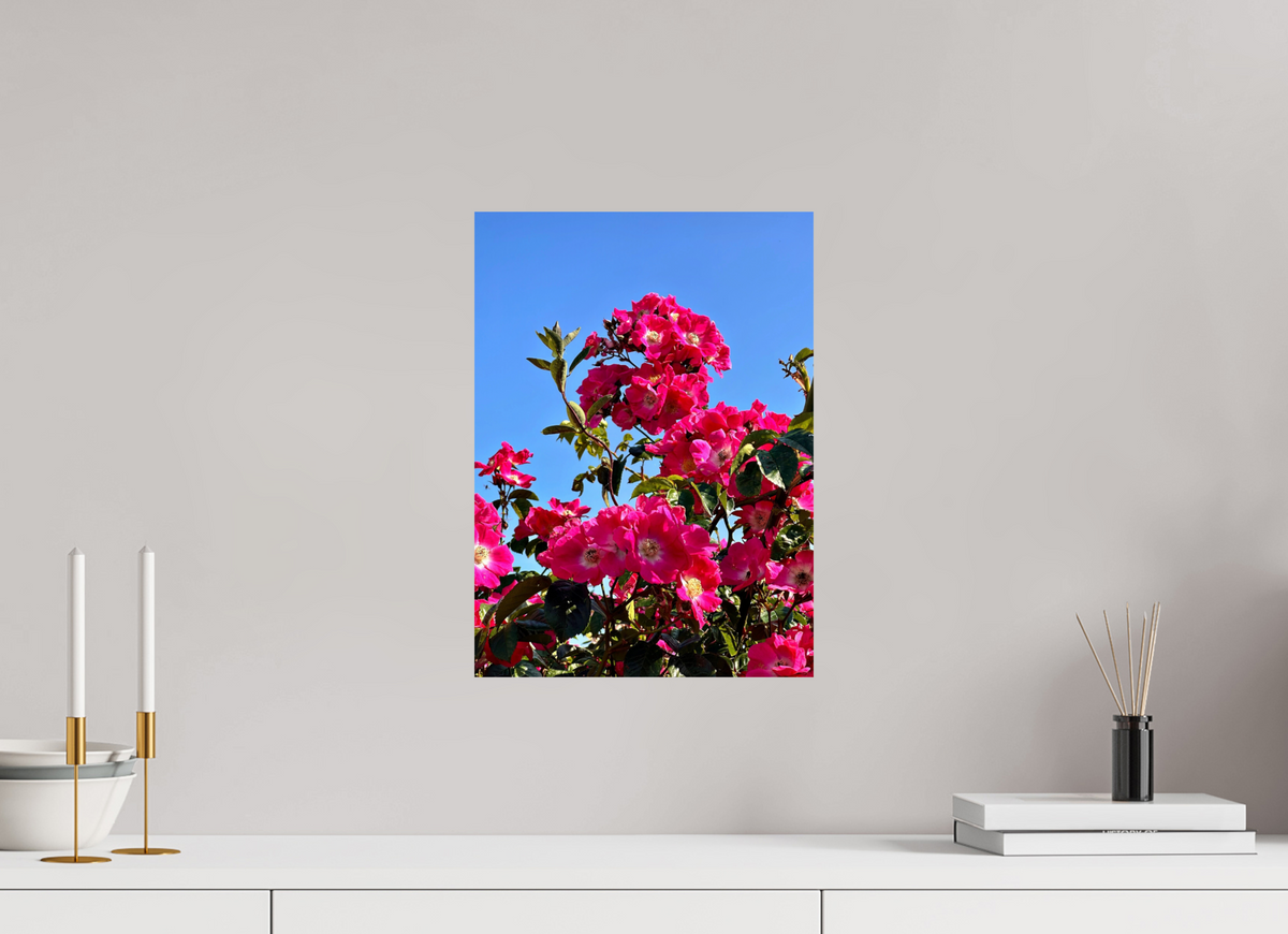 30 x 41.2 cm, Photo Print On Fuji Crystal DP II - Glossy Madeira Roses