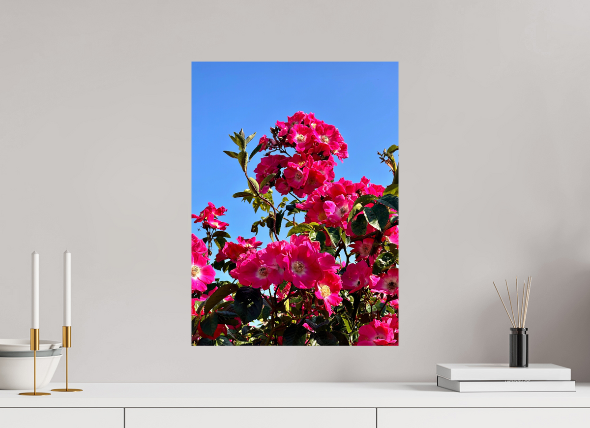 40 x 54.9 cm, Photo Print On Fuji Crystal DP II - Glossy Madeira Roses