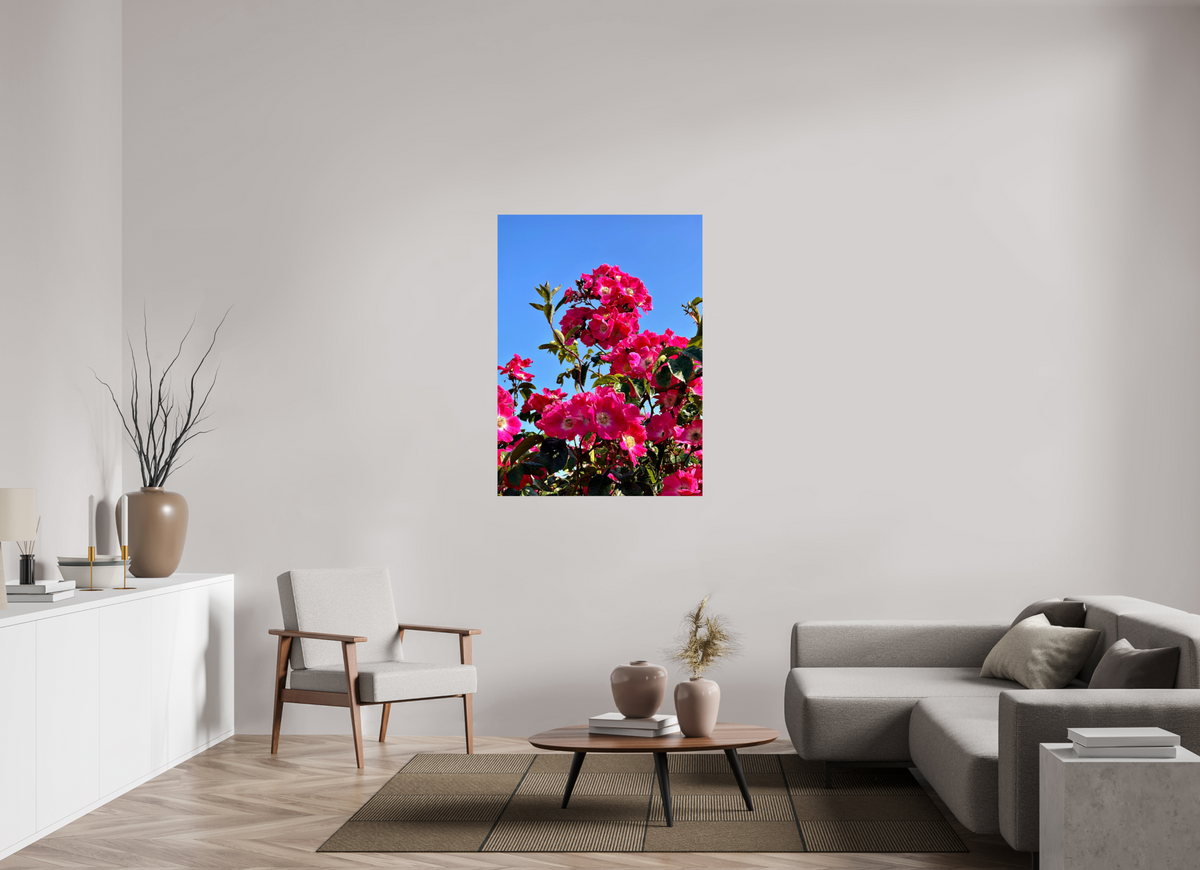 90 x 123.6 cm, Photo Print On Fuji Crystal DP II - Glossy Madeira Roses
