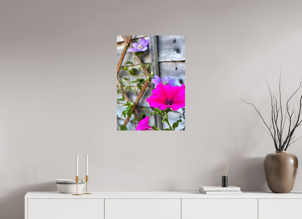 50 x 69.8 cm, Photo Print On Fujiflex High Gloss Clematis & Pansies