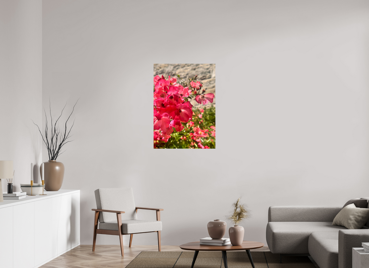 70 x 96.1 cm, Photo Print On Fujiflex High Gloss Lady Elsie May Roses
