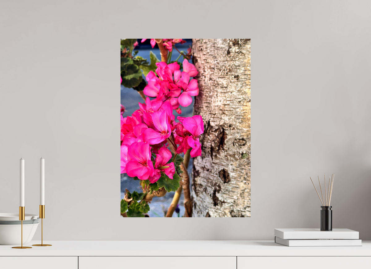 40 x 54.9 cm, Photo Print On Fujiflex High Gloss Sweet Geraniums