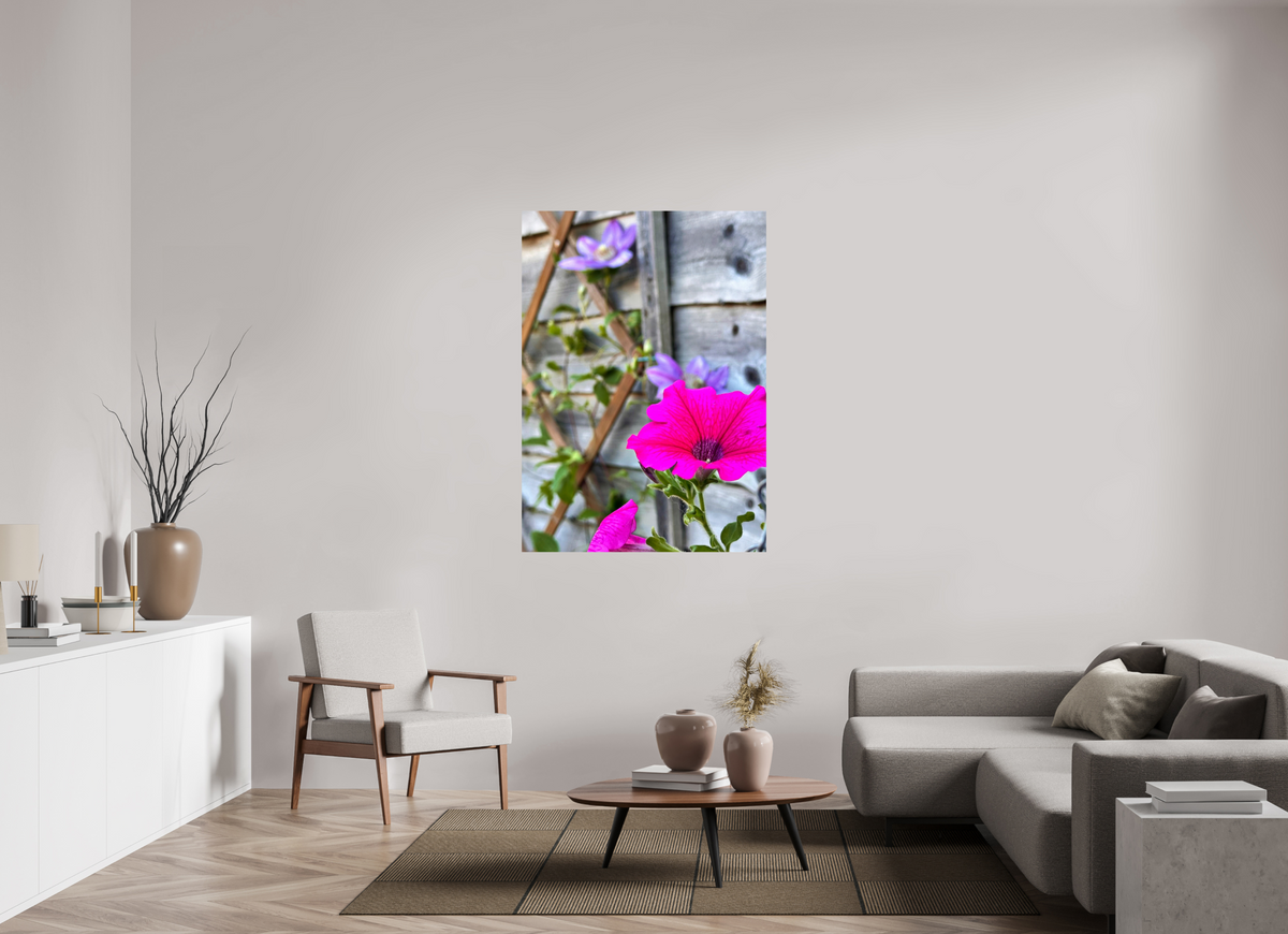 100 x 139.6 cm, Photo Print On Fujiflex High Gloss Clematis & Pansies