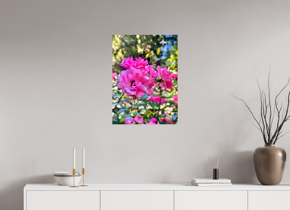 50 x 68.6 cm, Photo Print On Fujiflex High Gloss Garden of Roses
