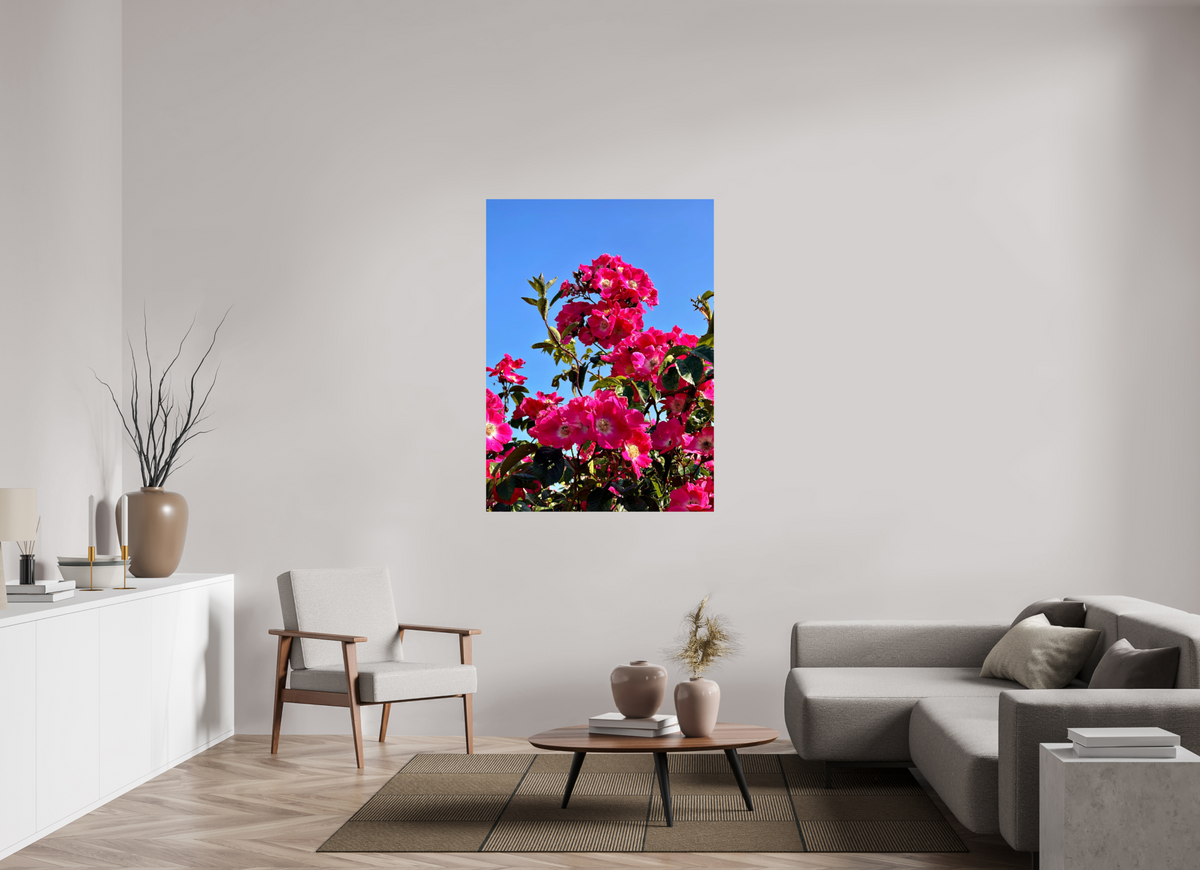 100 x 137.3 cm, Photo Print On Fujiflex High Gloss Madeira Roses