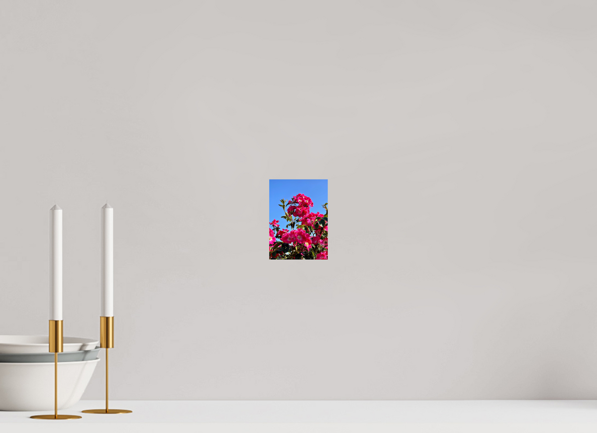 10 x 13.7 cm, Photo Print On Fujiflex High Gloss Madeira Roses