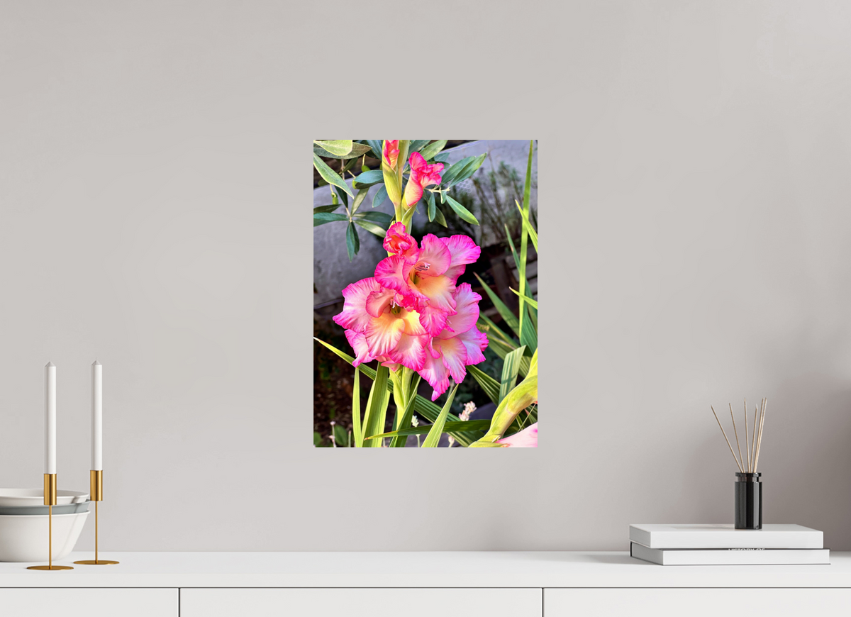 30 x 41.2 cm, Photo Print On Fuji Crystal DP II - Glossy Gladiolus Flowers