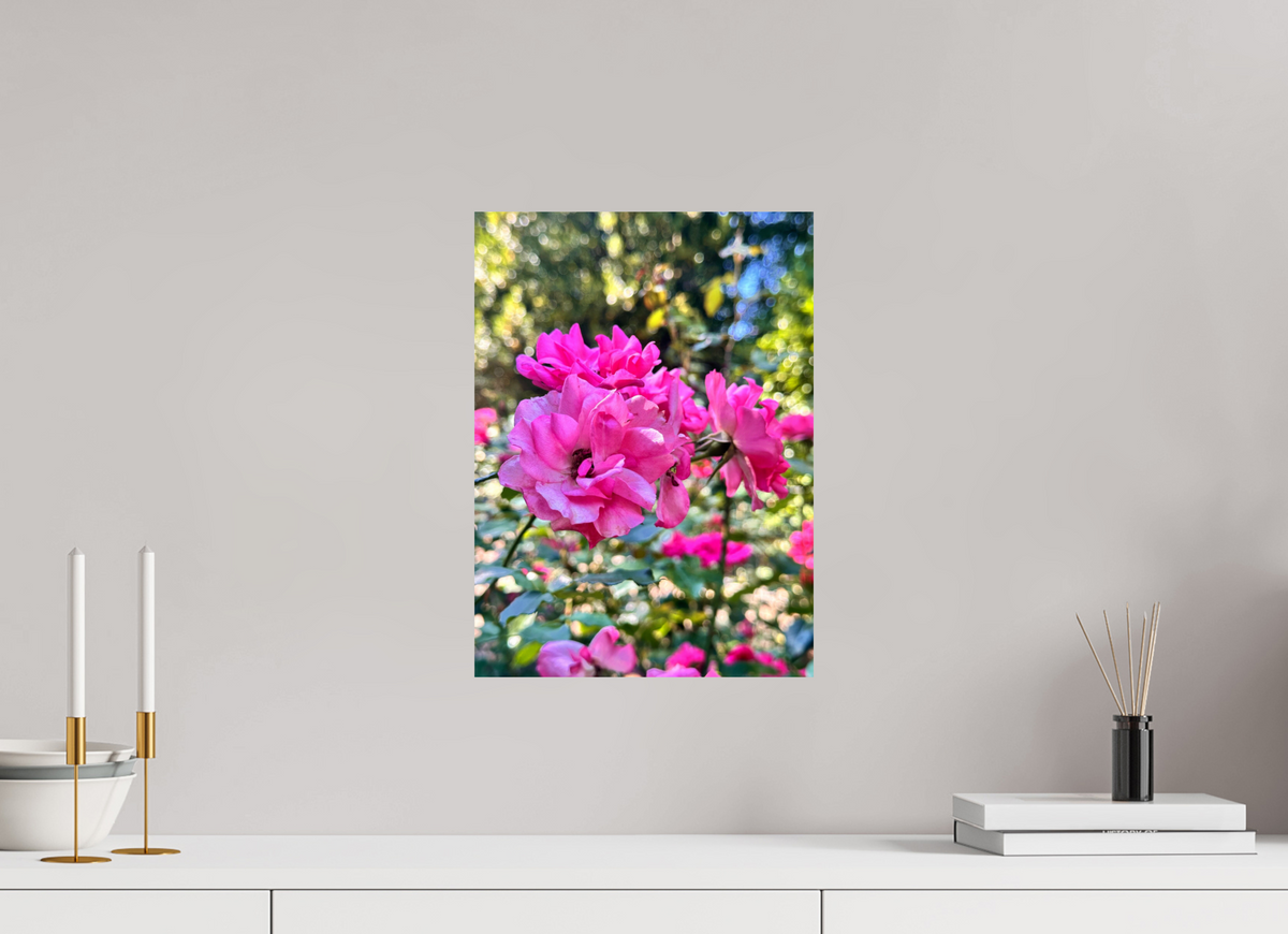 30 x 41.2 cm, Photo Print On Fujiflex High Gloss Garden of Roses