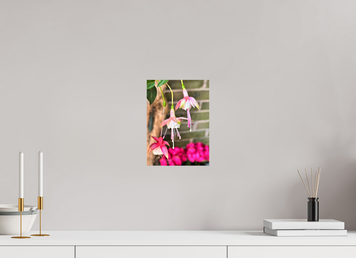 20 x 27.5 cm, Photo Print On Fujiflex High Gloss Dancing Fairies