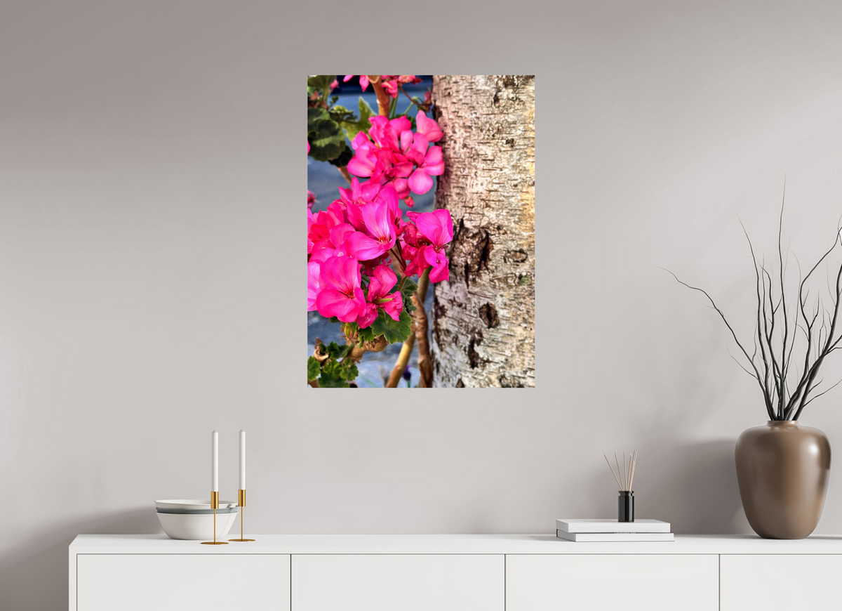 60 x 82.4 cm, Photo Print On Fujiflex High Gloss Sweet Geraniums