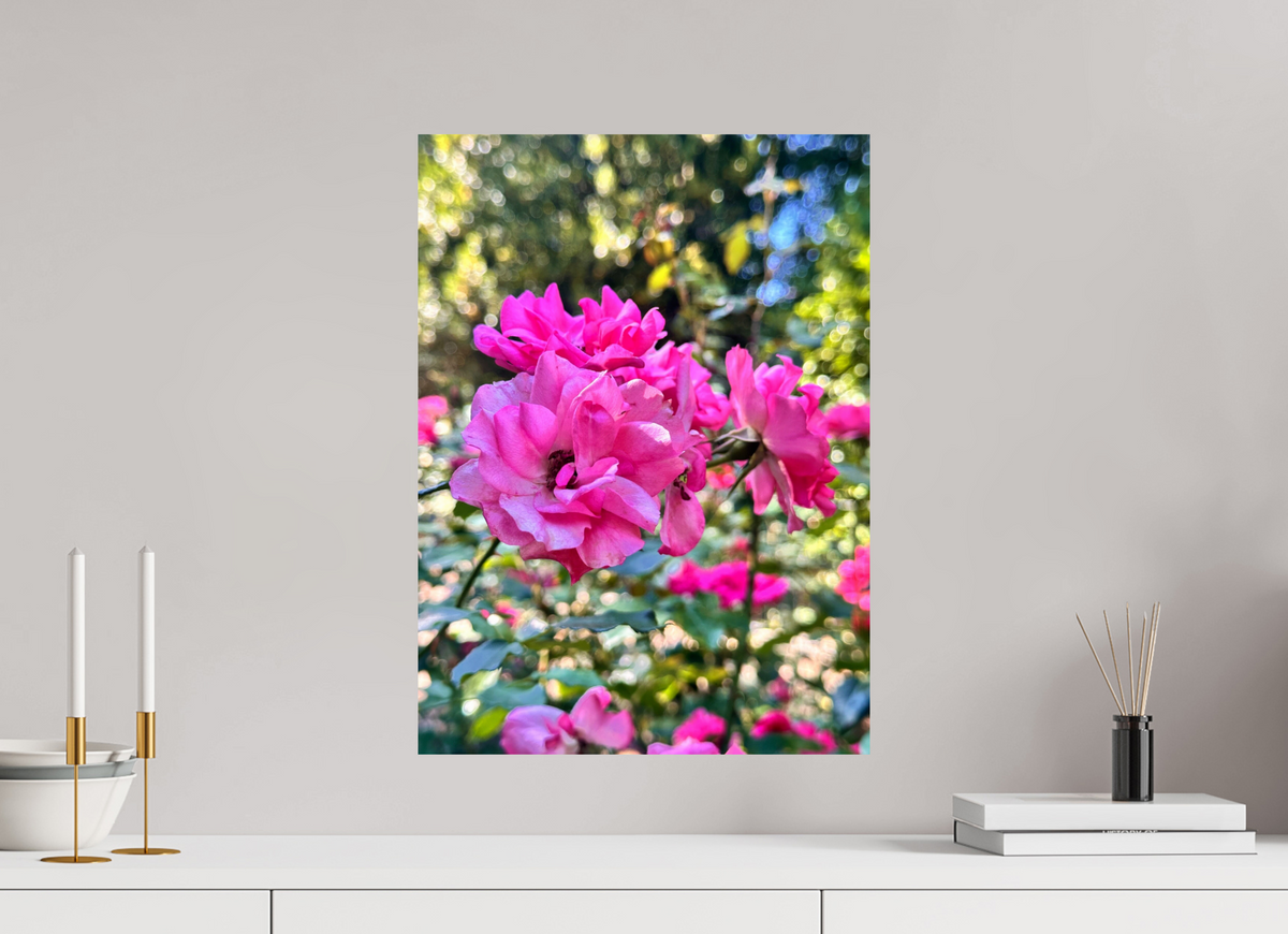40 x 54.9 cm, Photo Print On Fujiflex High Gloss Garden of Roses