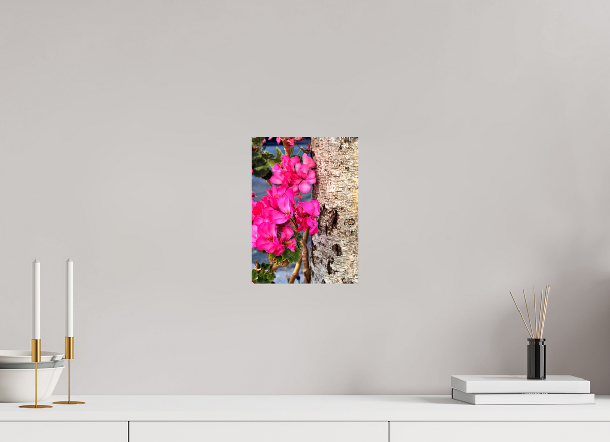 20 x 27.5 cm, Photo Print On Fujiflex High Gloss Sweet Geraniums