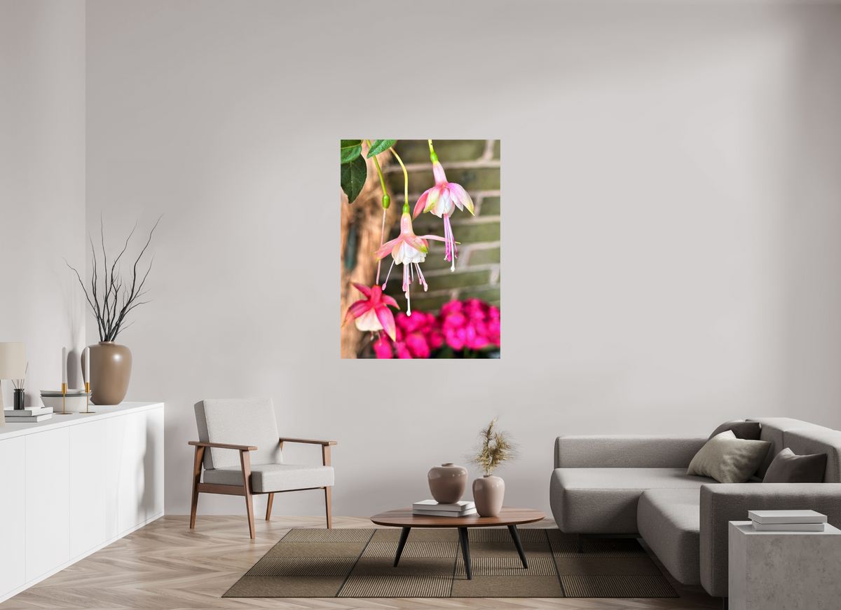 100 x 137.3 cm, Photo Print On Fuji Crystal DP II - Glossy Dancing Fairies