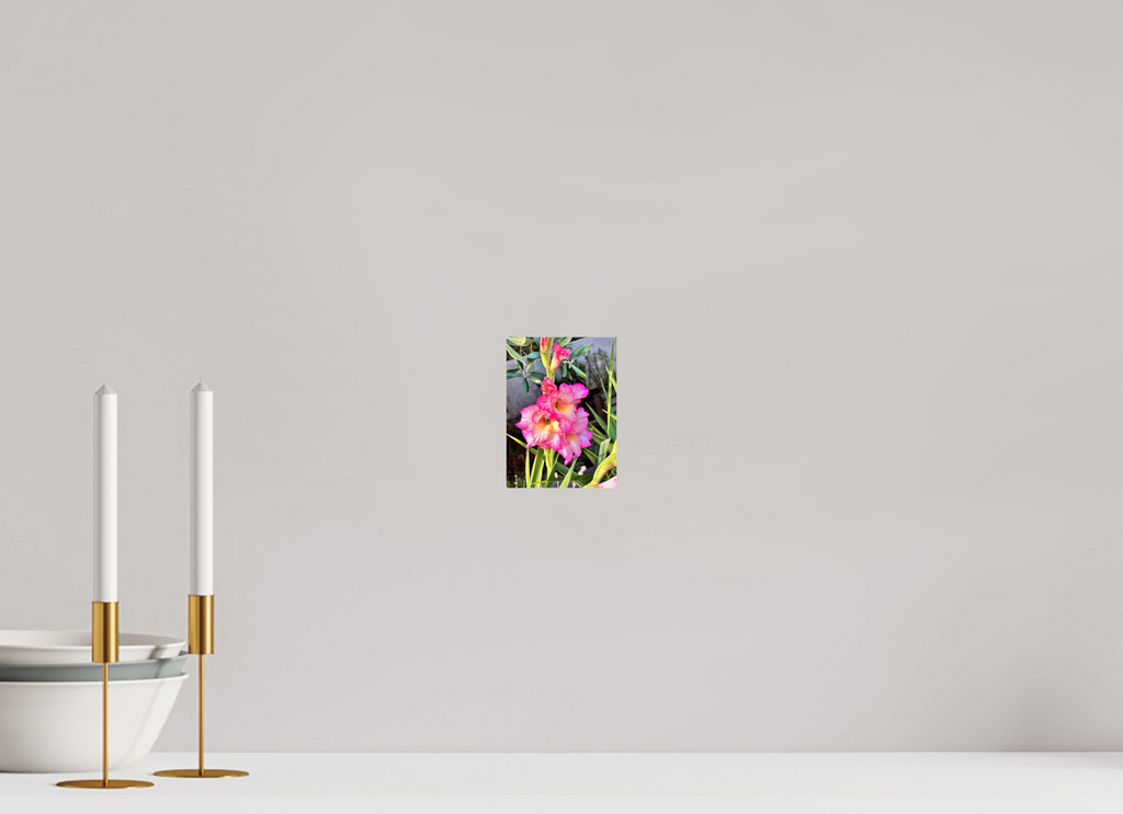10 x 13.7 cm, Photo Print On Fuji Crystal DP II - Glossy Gladiolus Flowers