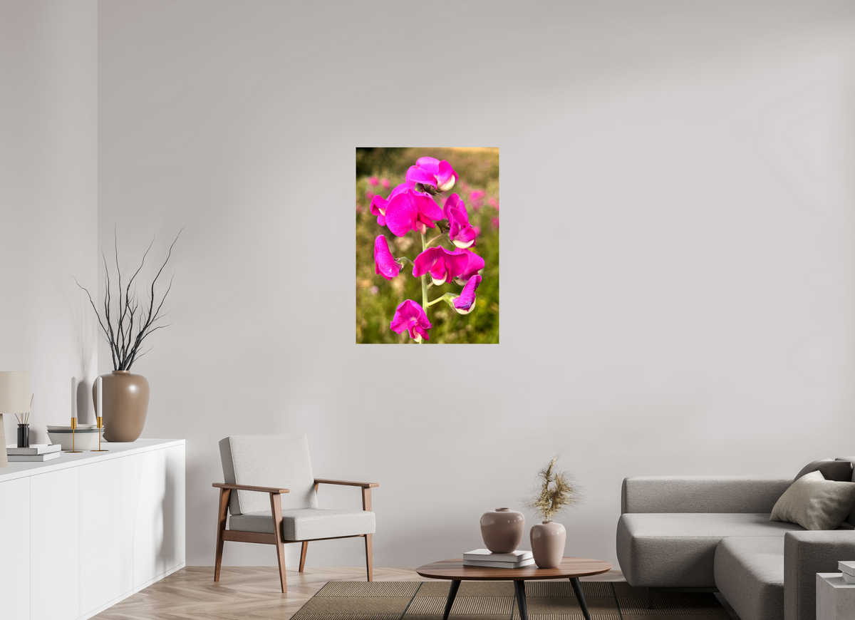 70 x 96.1 cm, Photo Print On Fujiflex High Gloss Wild Orchid