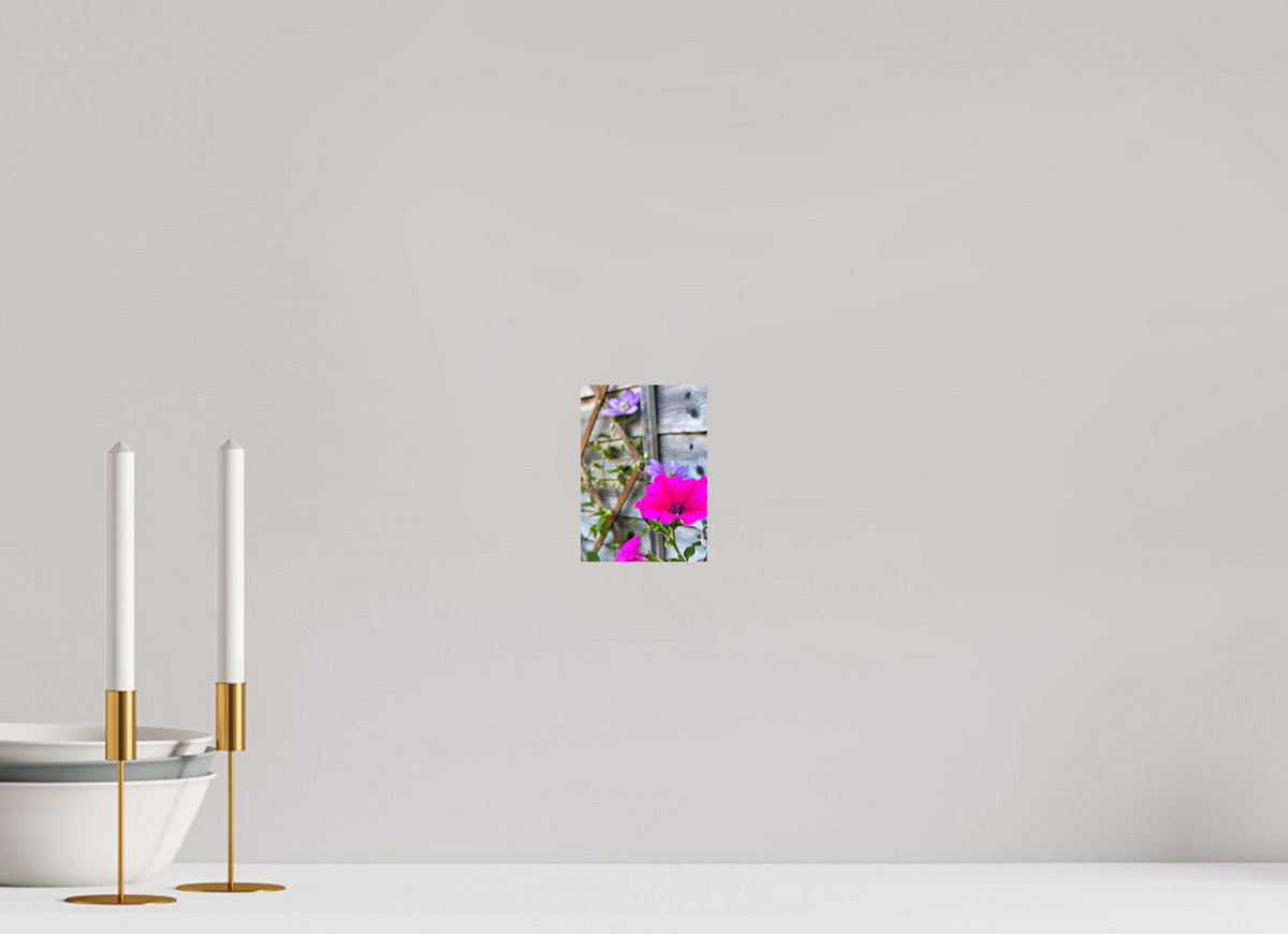 10 x 14 cm, Photo Print On Fuji Crystal DP II - Glossy Clematis & Pansies