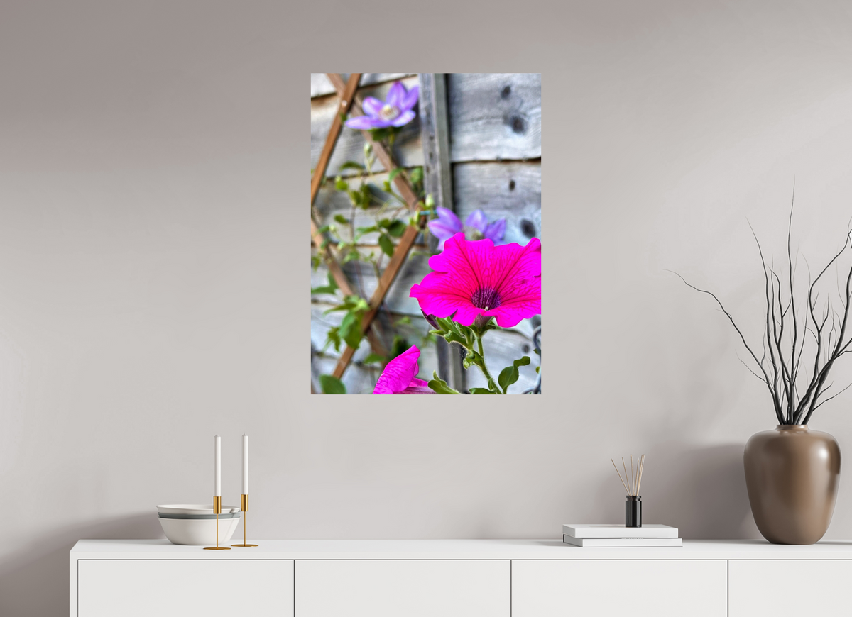 60 x 83.8 cm, Photo Print On Fujiflex High Gloss Clematis & Pansies