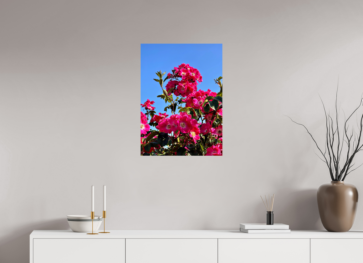 50 x 68.6 cm, Photo Print On Fuji Crystal DP II - Glossy Madeira Roses