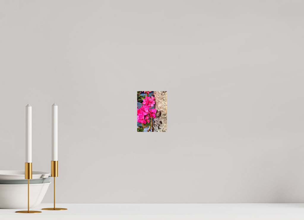10 x 13.7 cm, Photo Print On Fuji Crystal DP II - Glossy Sweet Geraniums