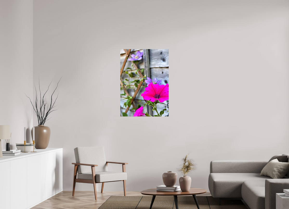 70 x 97.7 cm, Photo Print On Fujiflex High Gloss Clematis & Pansies