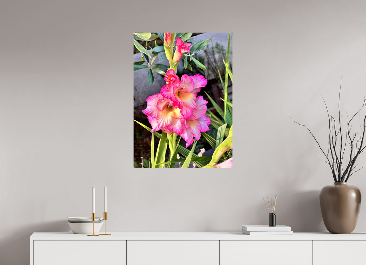 60 x 82.4 cm, Photo Print On Fuji Crystal DP II - Glossy Gladiolus Flowers