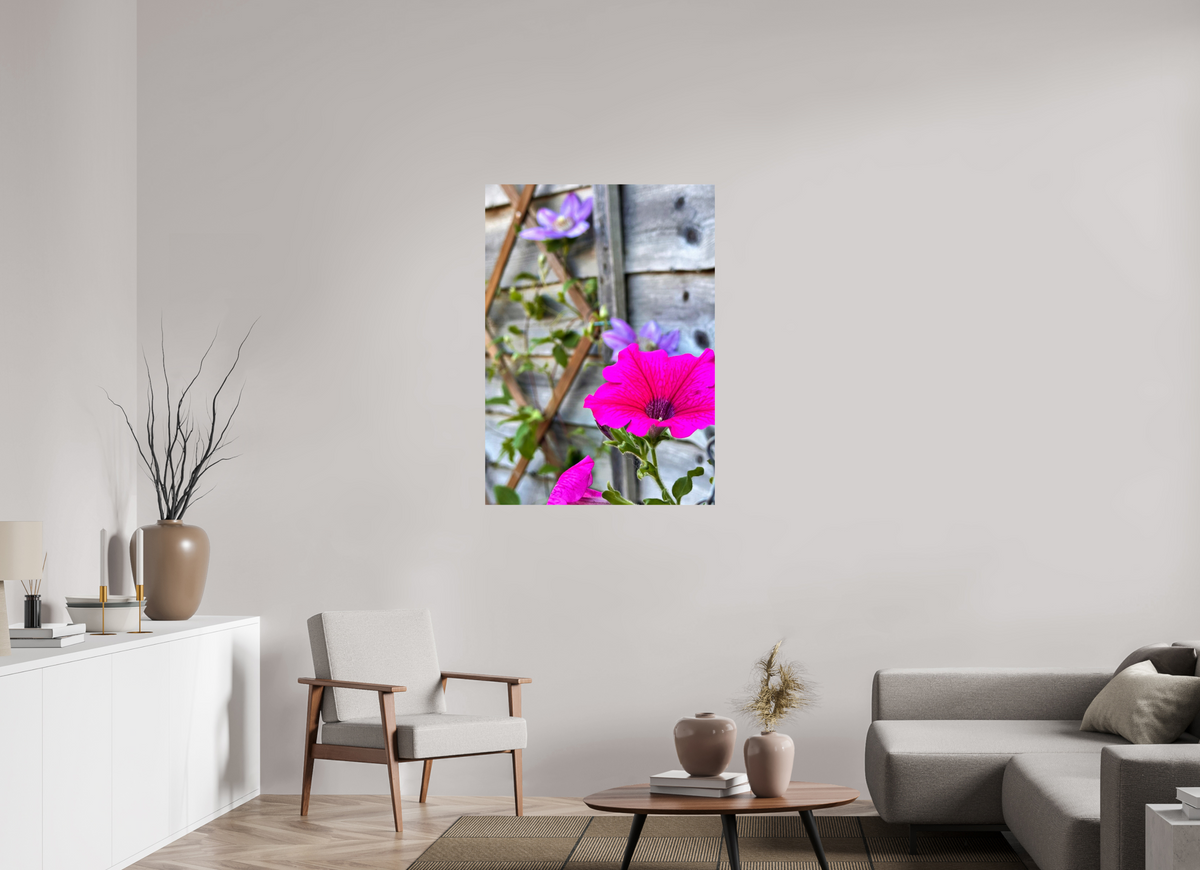 80 x 111.7 cm, Photo Print On Fuji Crystal DP II - Glossy Clematis & Pansies