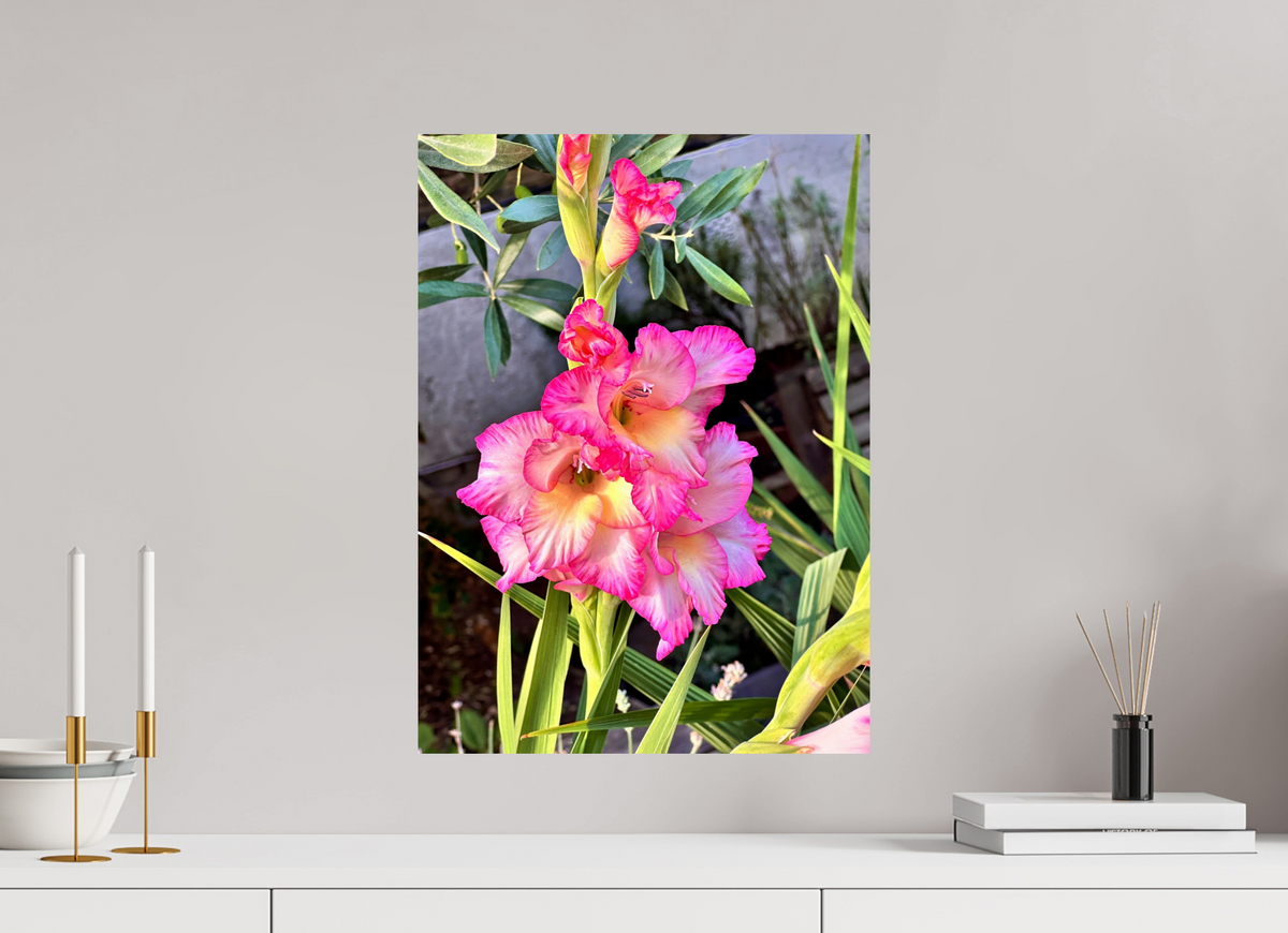 40 x 54.9 cm, Photo Print On Fujiflex High Gloss Gladiolus Flowers